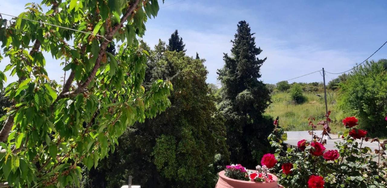 Green View Apartment Agios Petros  Exterior photo